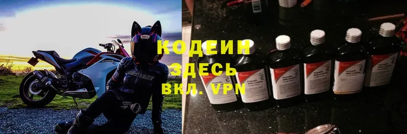 где купить наркоту  мега зеркало  Кодеиновый сироп Lean Purple Drank  Кизляр 